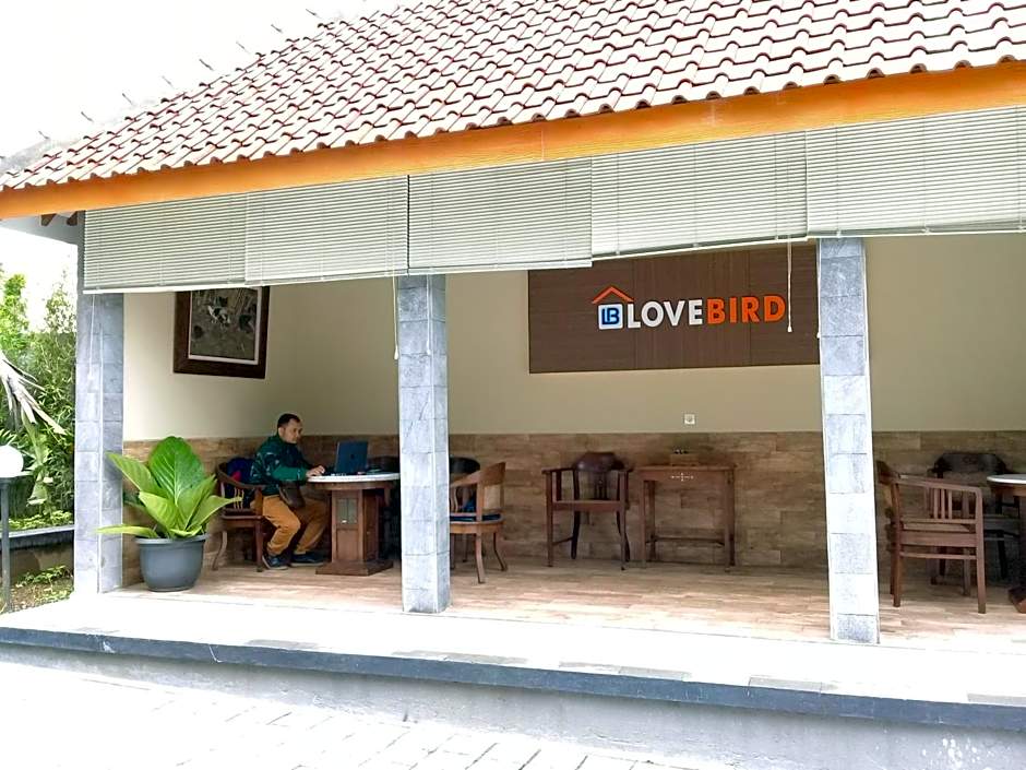 Wisma Lovebird