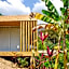 Sweet Harmony Hotel Boutique by Xarm Hotels