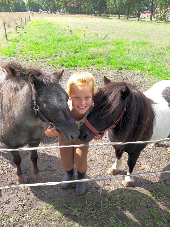 boerderijkamer Korenbloem