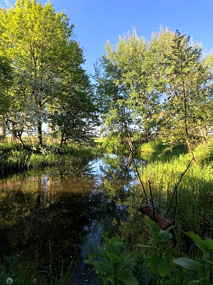 B and Be Happy Friesland