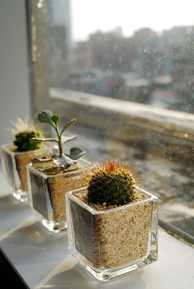 Inn Cube Taipei Main Station