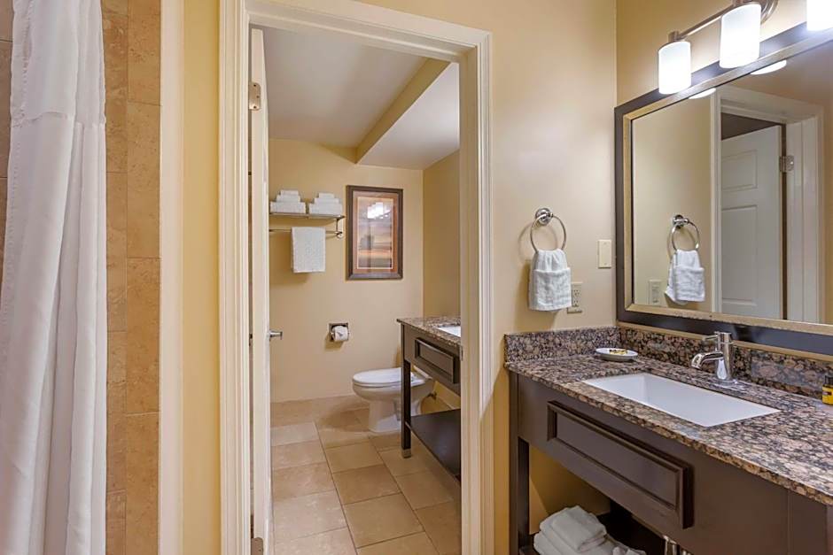 Best Western PLUS Cotton Tree Inn