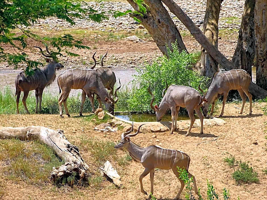 Emhosheni River Lodge