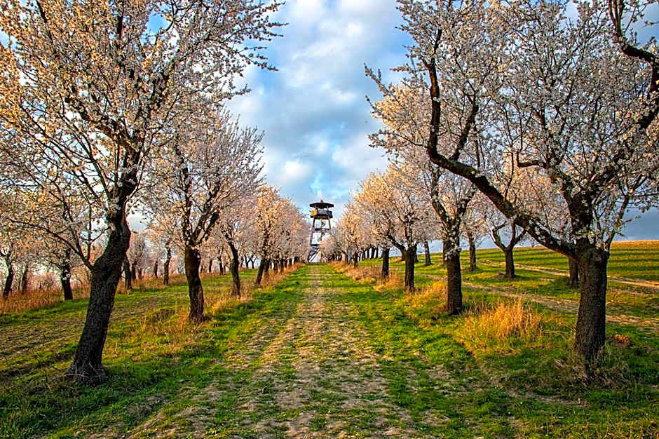 Hotel Rustikal Hustopeče - U Mandloňových sadů