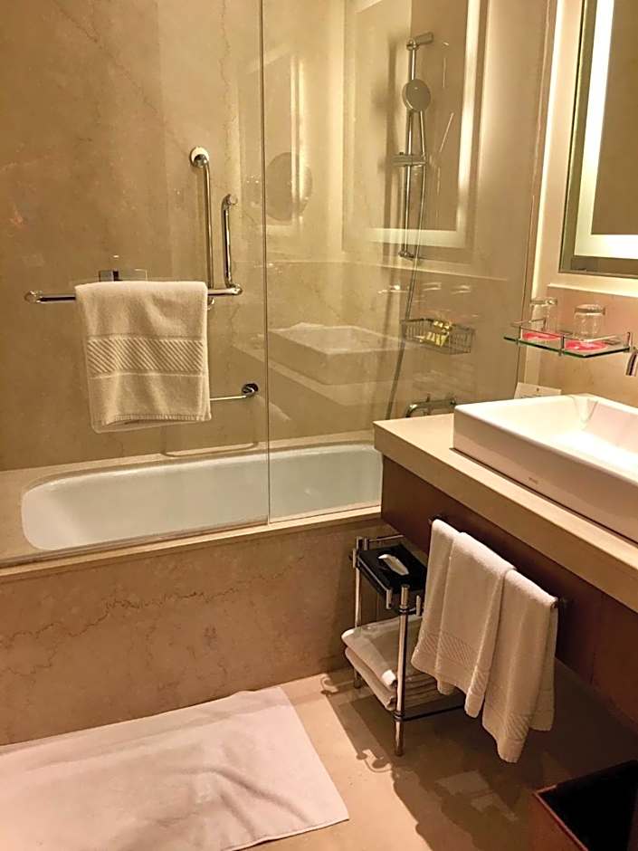 Trident Agra