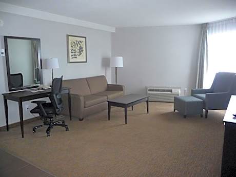 King Studio Suite - Non-Smoking