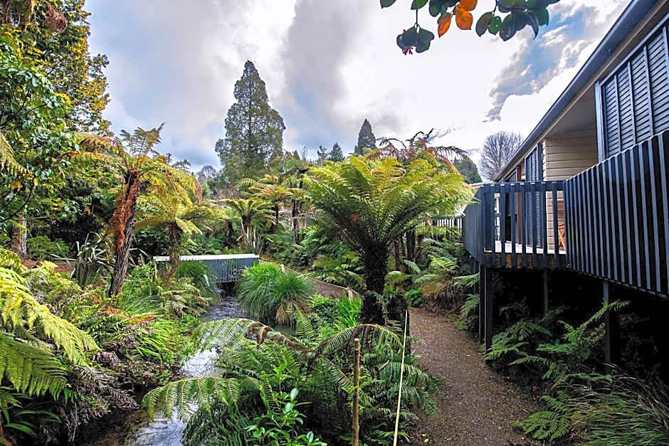 Ripple Rotorua