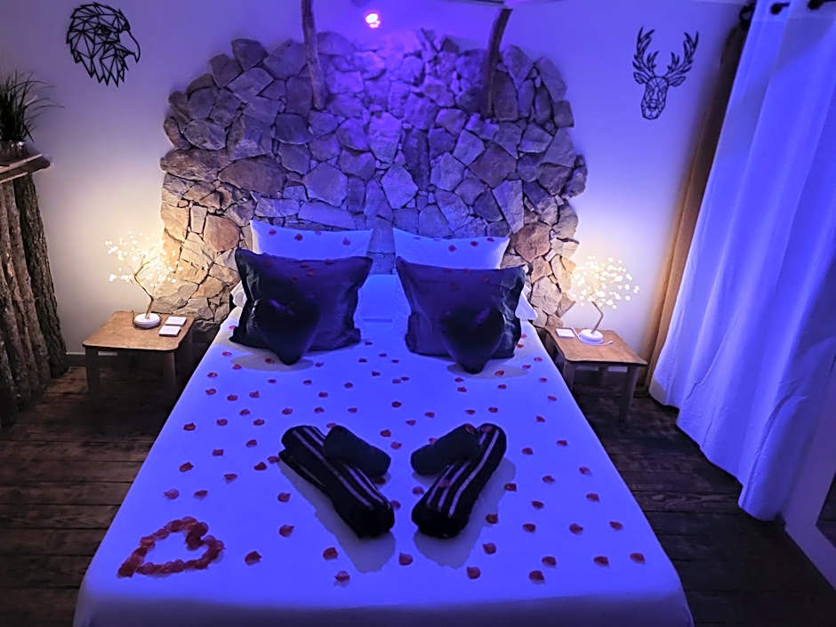 LOVE Room Danslesbois avec spa