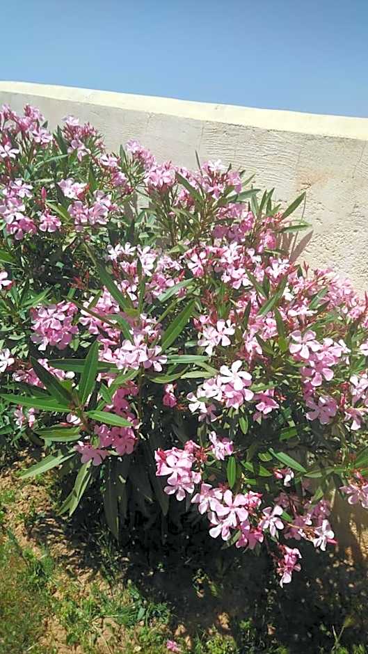 Villa en el campo sobre el mar