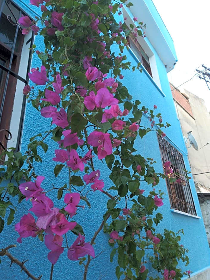 Casa Magnolia Boutique Rooms