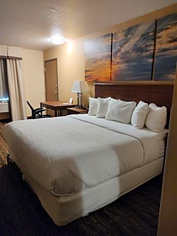 1 King Bed Non-Smoking