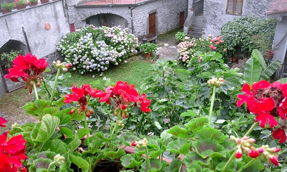 B&B Alle Ortensie Blu