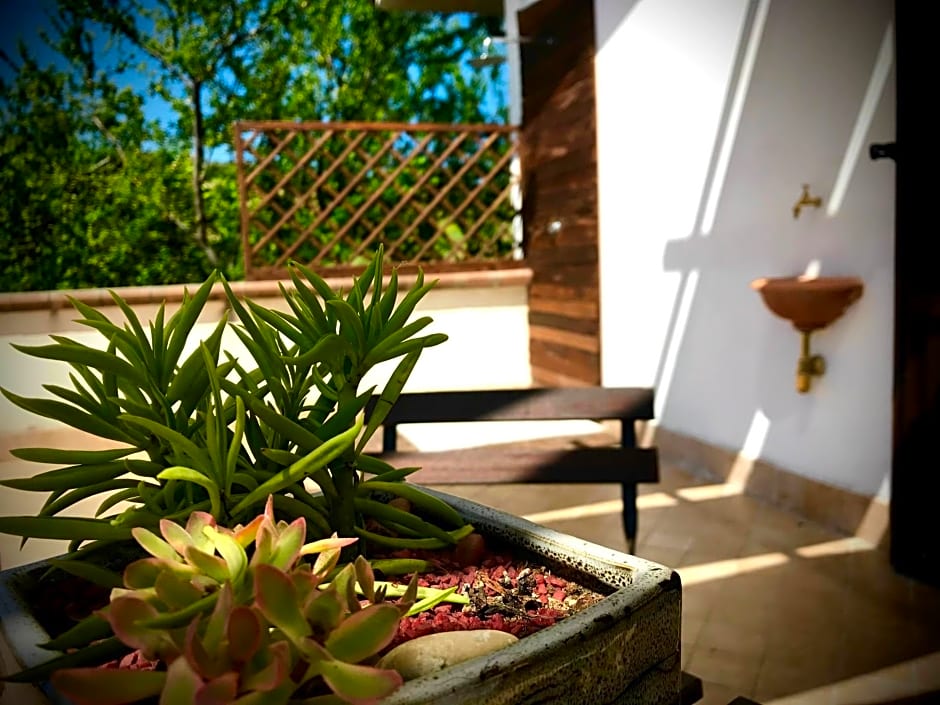 Il Bed & Breakfast Prato San Lorenzo – Nocciano, MO
