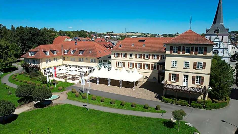 Schloss Neckarbischofsheim