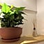 Apartamento Ponta Verde