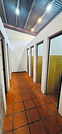 Bed in 8-Bed Mixed Dormitory Room