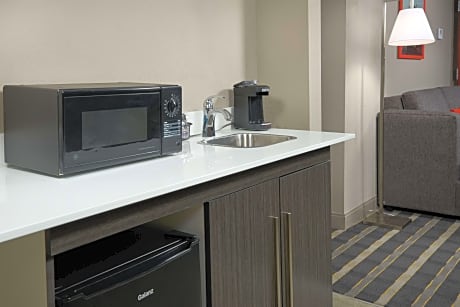 1 King Bed 1 Bed Suite Nonsmoking