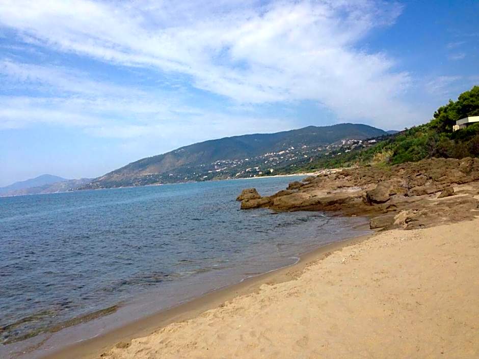 Cinquestelle Albergo del centro storico