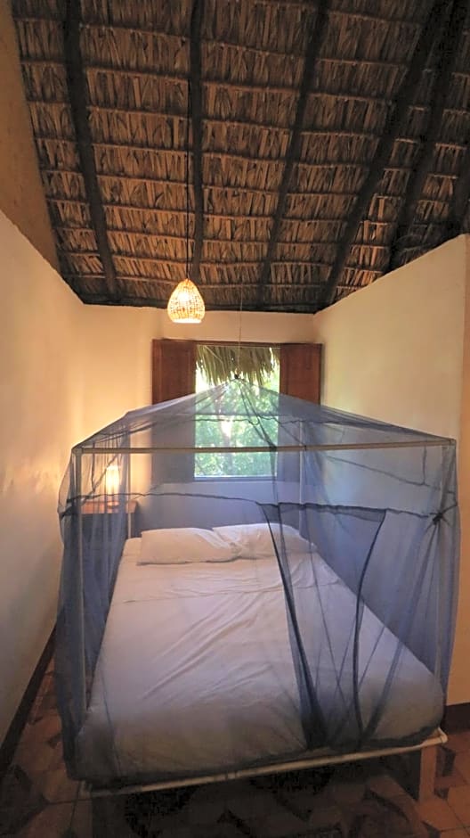 Casa AVA