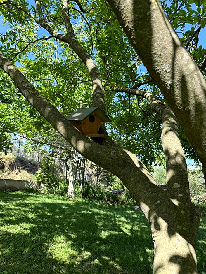 A Casa di nonna Emilia