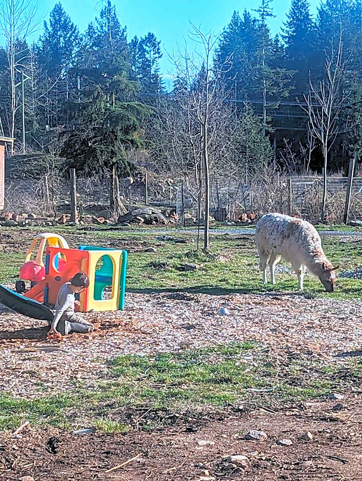 Mushroom theme cabin on 33 Acre Farm
