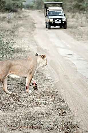 Moditlo River Lodge