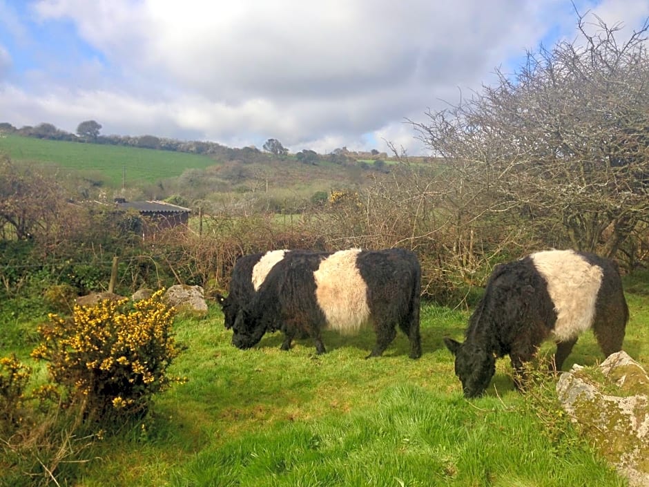 Lower Crankan Farm – Penzance