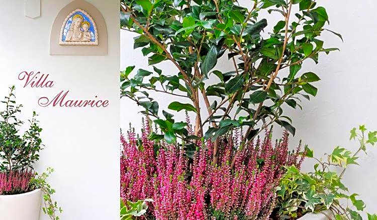 Residence Villa Maurice