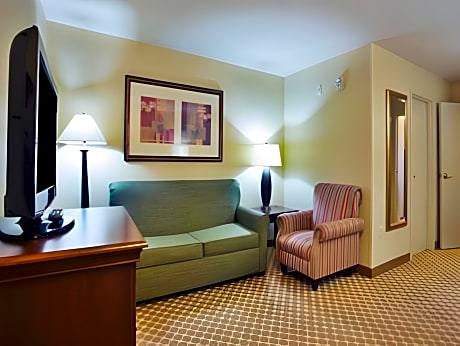 1 Bedroom King Suite