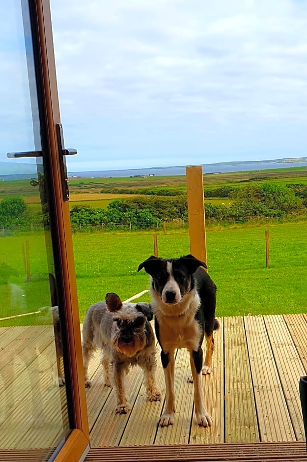 Lilly's Lodges Orkney Butterfly Lodge