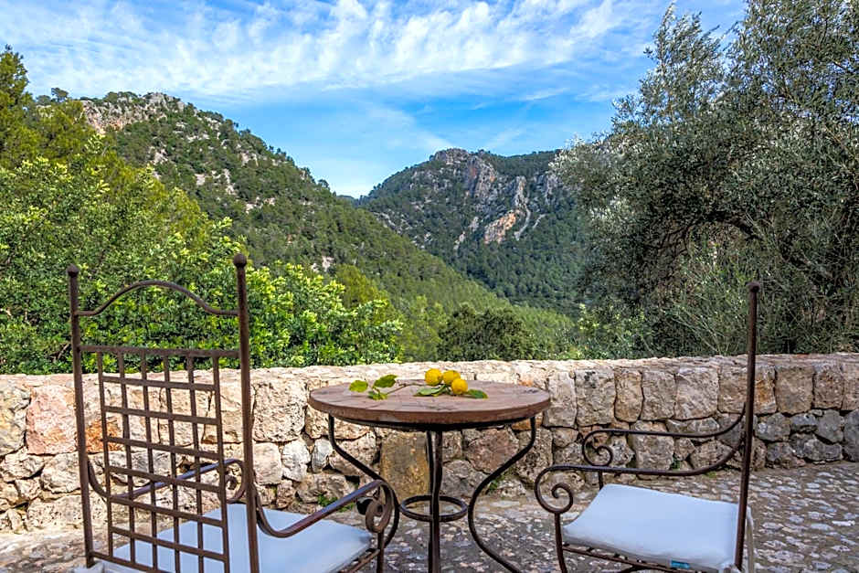 Finca Albellons