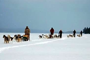 Quiet Bay Inn & Café