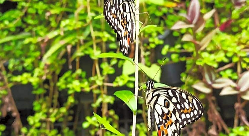 The Hub District Garden Suites