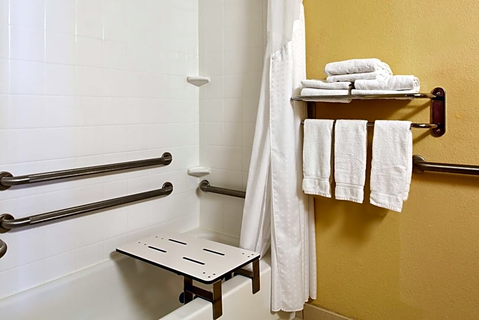 Holiday Inn Express Hotel & Suites Alcoa Knoxville Airport By IHG