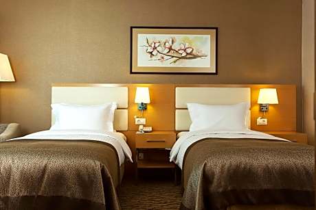 Superior Room with City View