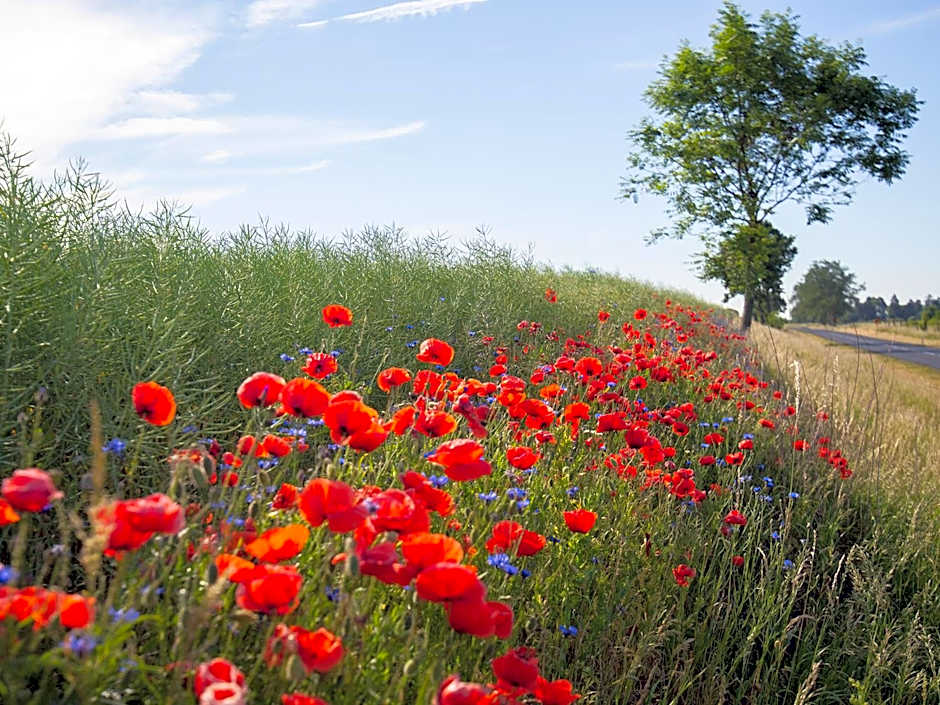 Stary Młyn Strzeszyn - Soft All Inclusive