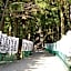 Ashita no Mori