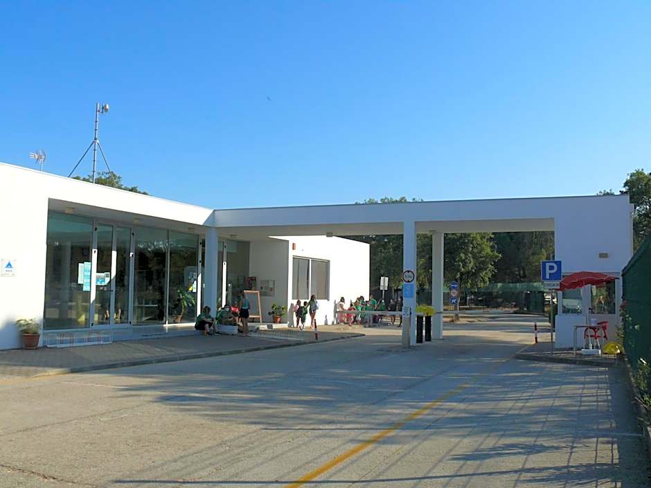 Parque de Campismo Orbitur Montargil