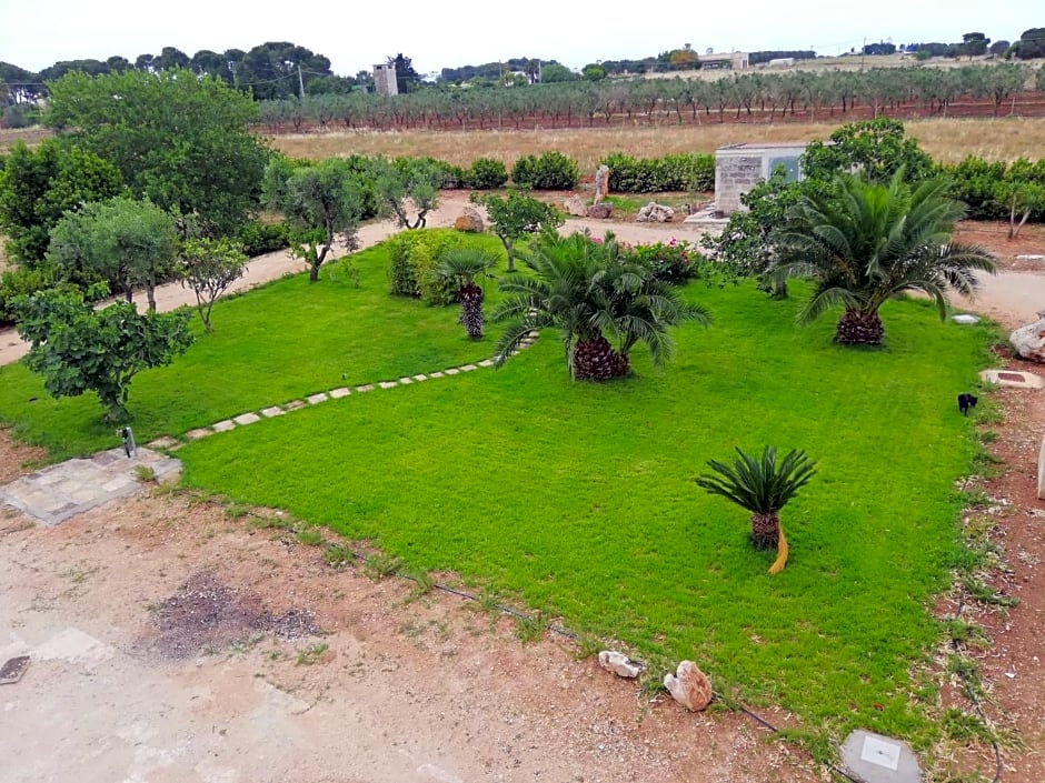 Il giardino dei tramonti