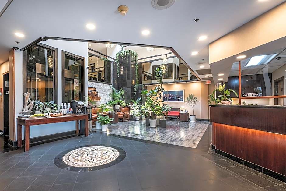 Hotel International