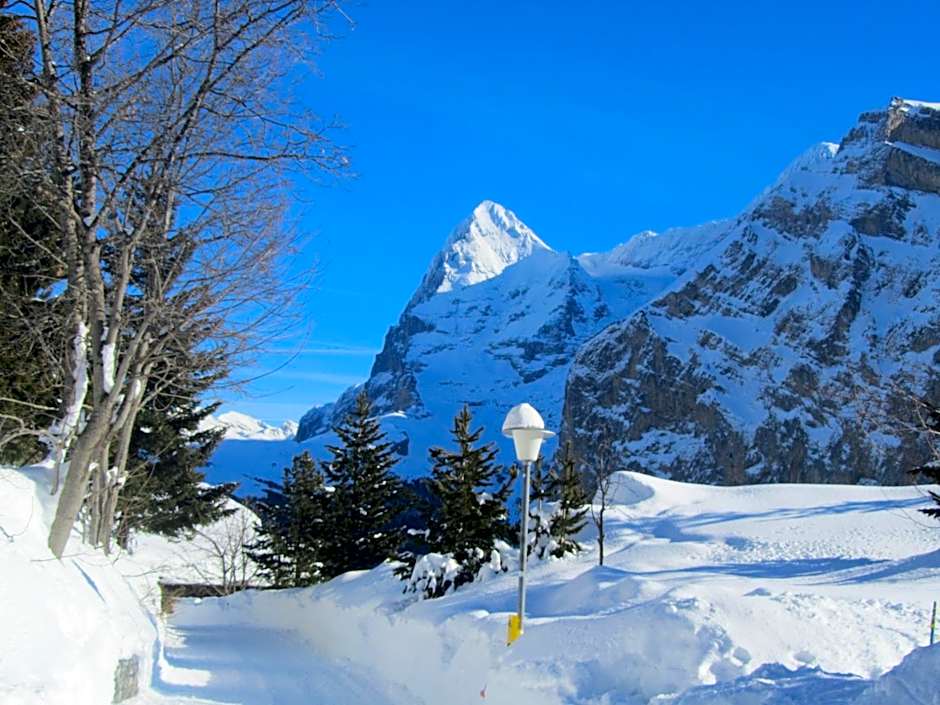 Hotel-Restaurant Stechelberg Bed & Breakfast