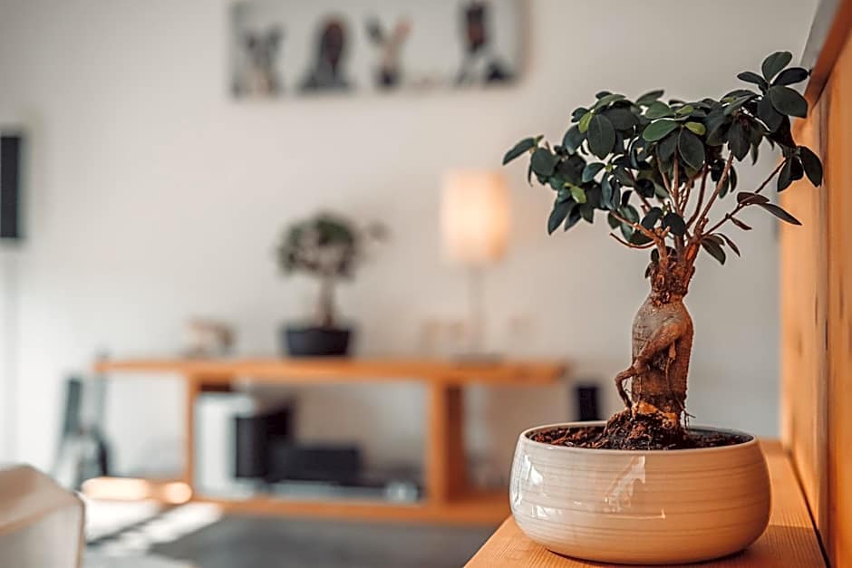 eco boutique hotel AMS Beagle