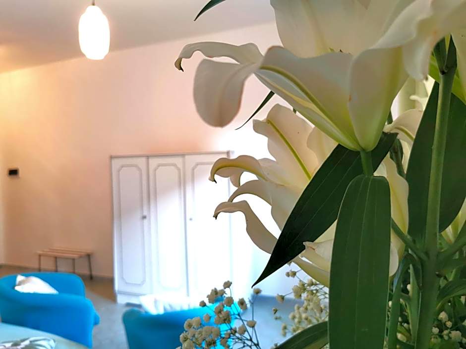 Hotel TEA - Praia a Mare