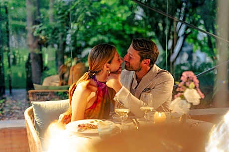 TreeLodgy, The Tree House