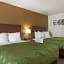 Quality Inn Saint Petersburg North-Tampa Bay