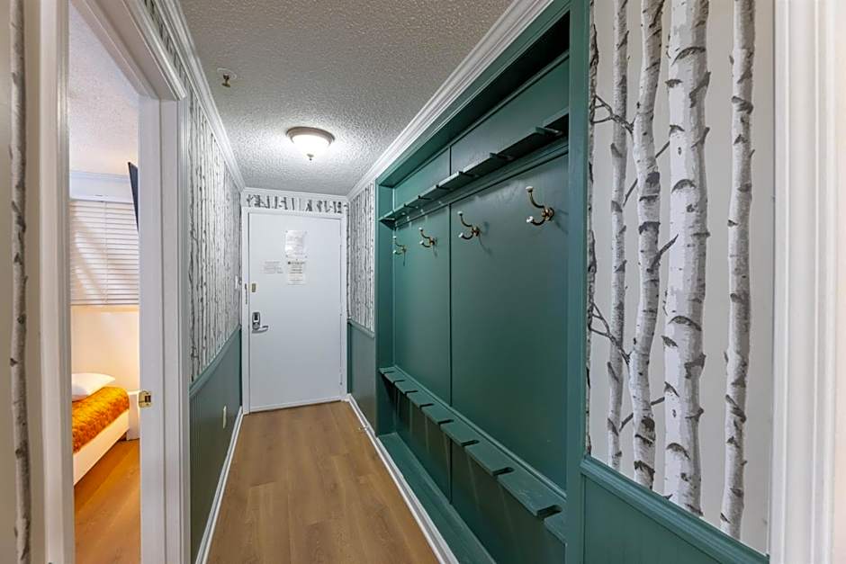 ML 294 Ski-InOut Slope Views Steps to Ballhooter Sleeps 6