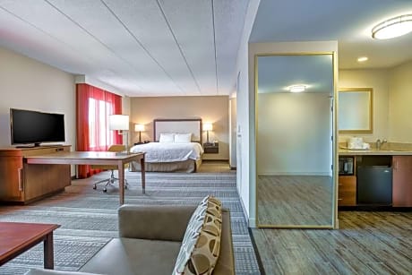 1 King Bed Studio Suite W/ Sofabed Nonsmoking