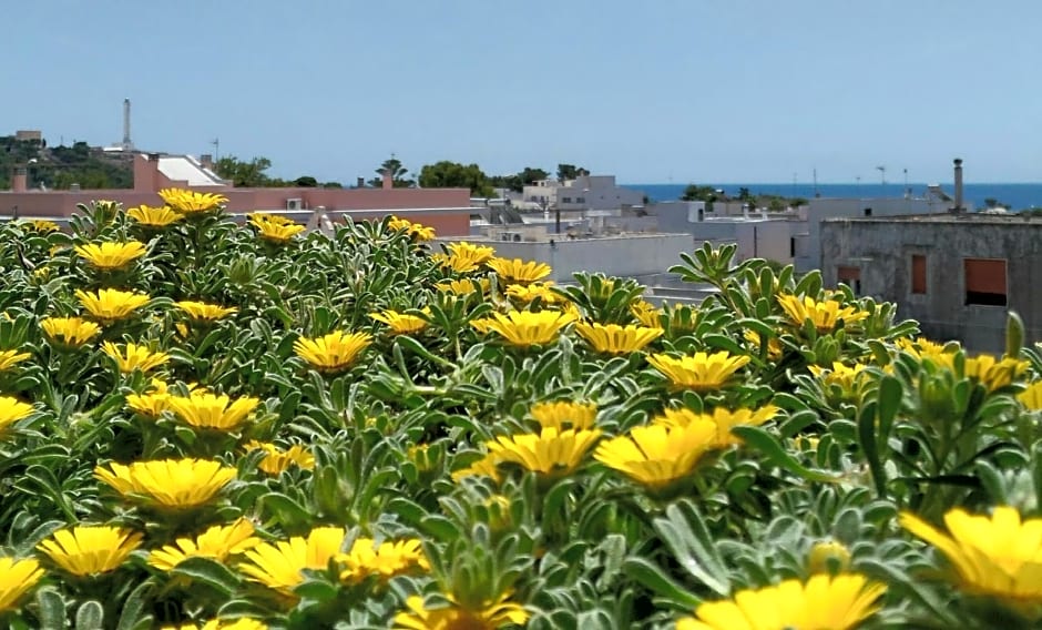 B&B Mareincantato – Santa Maria di Leuca, OK