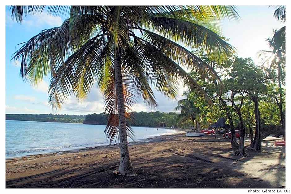 Studio plage et piscine à 200m - Saint François Guadeloupe