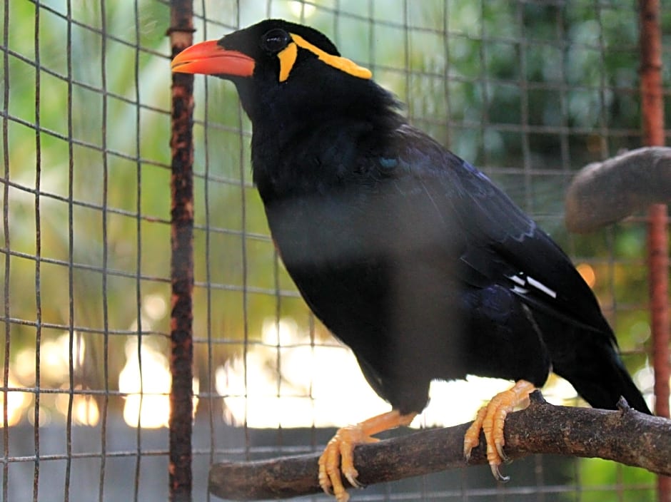 RedDoorz @ July's Haven Seaside Pension Camiguin